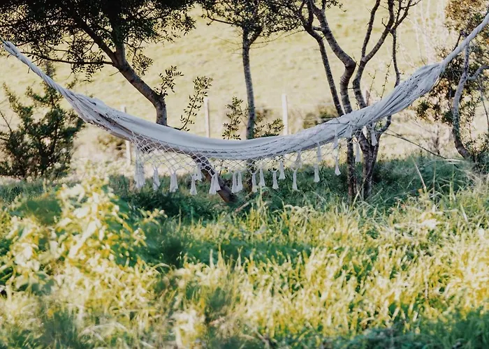 Bergerie Face A Propriano * Fozzano