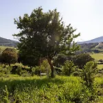 Bergerie Face A Propriano Villa