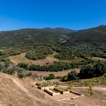 Bergerie Face A Propriano 빌라 *