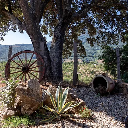 Bergerie Face A Propriano Fozzano