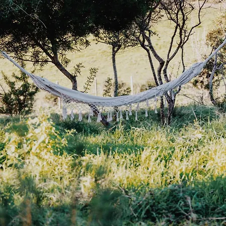 Bergerie Face A Propriano * Fozzano