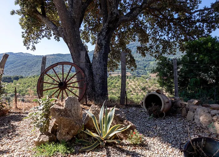 Bergerie Face A Propriano Fozzano